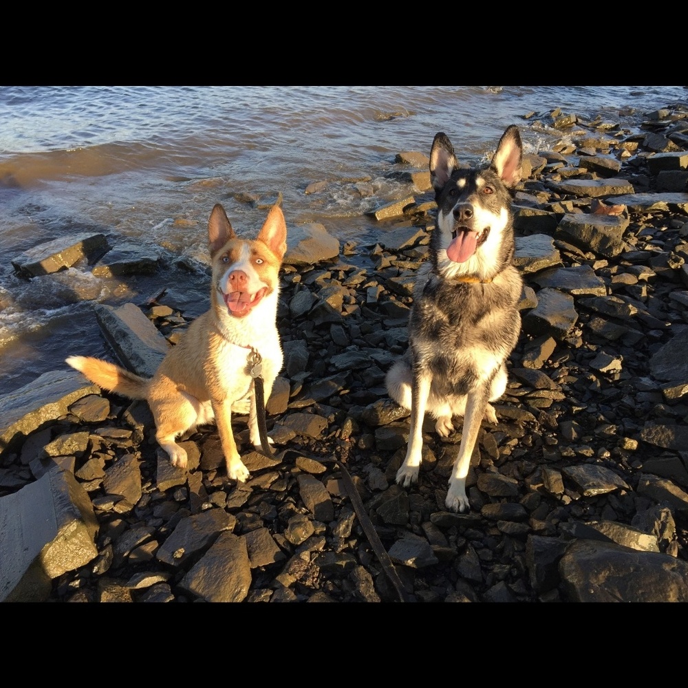 Before you buy/trade, please read 😇